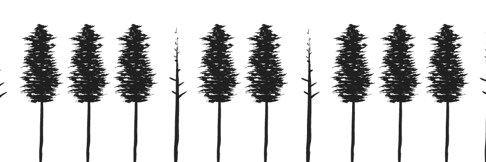 <h4 style='margin-top:5%'>Classic Studios</h4><img style='width:15%; margin:0 10px;' title='Web Design & Development' src='images/web-1.png'/><img style='width:15%; margin:0 10px;' title='Logo Design' src='images/logo-1.png'/> Nathan Labrecque Creative - Classic Studios Web Design