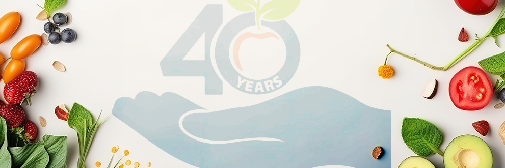 <h4 style='margin-top:4%'>Strathcona Food Bank</h4><img style='width:15%' title='Web Design & Development' src='images/web-1.png'/> Nathan Labrecque Creative - Strathcona Food Bank Website